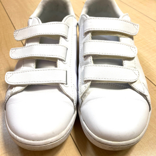 【ラコステ】白スニーカー♪size24㎝の画像