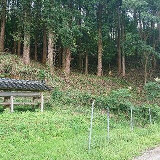 草刈や伐採などお手頃価格でご対応します。 - 剪定/造園