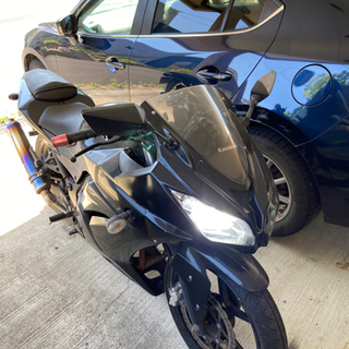 ninja250rカスタム