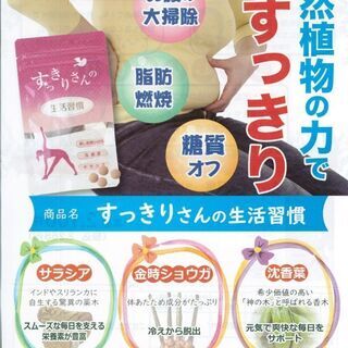 ダイエットサポート　岡崎　豊田　安城　西尾　幸田にお住まいの方限...