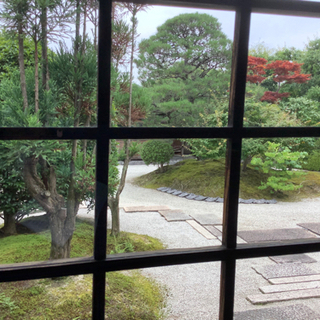 10/10 宇治茶　宇治巡りハイキング行きませんか？
