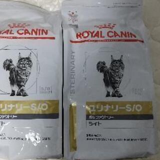 新品未開封　ロイヤルカナン　ライトドライ　4kg×2袋　猫用12000