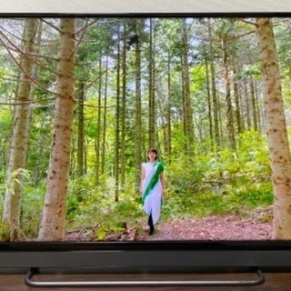 REGZA 東芝　40V30 液晶テレビ