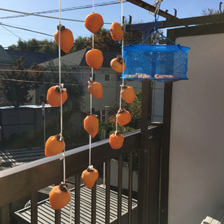 渋柿ください