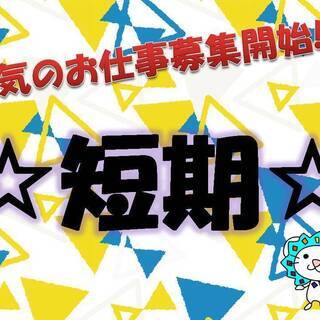 12月末！￥1350♪動画アプリ対応業務（平日のみOK）の画像