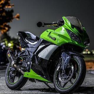 【Kawasaki】Ninja250rSE 社外カウル 社外マフラー 現状渡しの画像