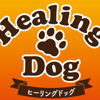 自家繁殖直売⭐︎トイプードル🐾