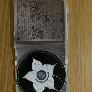 ウェディングソング CD KT tunstall 結婚式の曲の画像