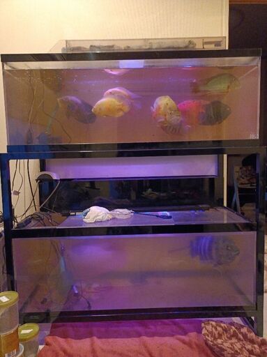 値下げ120×60×45　2段水槽フルセット　引き取り限定
