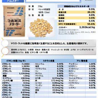 ファンシーラットの餌 5月14日