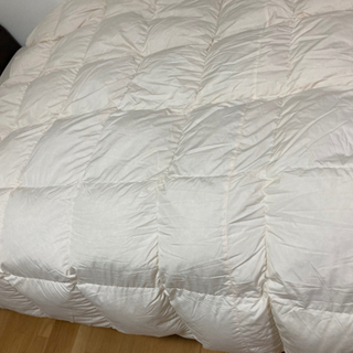 確約済み
