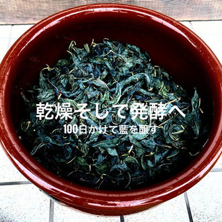 Indigo Ai Labo!  藍染＆藍建てコンプリート体験教室1Day！！ 藍染を発酵植物から自分で染めるまで！他ではなかなか体験レッスン！の画像
