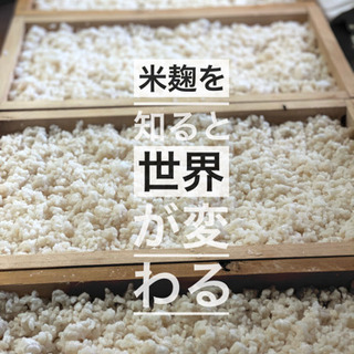 Miso Labo！貴重な「薪」の味噌作り体験！麹作りからできる他ではなかなか味わえない体験　常総市の画像
