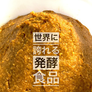 Miso Labo！貴重な「薪」の味噌作り体験！麹作りからできる他ではなかなか味わえない体験　常総市の画像