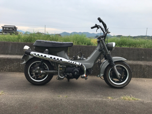 シャリー　交換可能