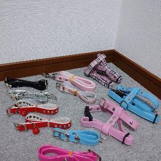 ペット用品 ①の画像