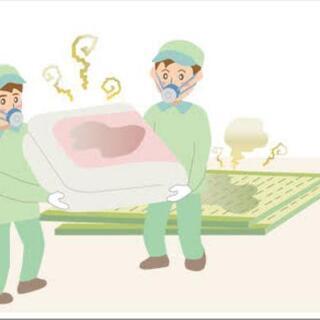 【見積もり無料】特殊清掃に迅速対応します - 便利屋