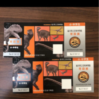 福井県立恐竜博物館チケット