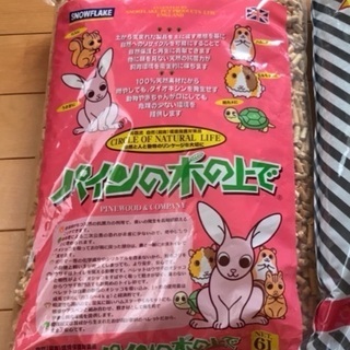 パインの木の上で　小動物用