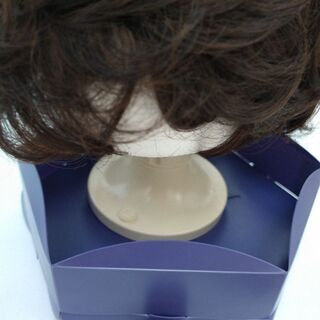 女性用ウィッグ　未使用　フォンテーヌの画像