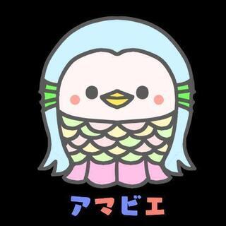 はじめまして🌸
