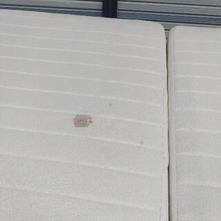 【決まりました】セミダブル ベッド 差し上げます　29日処分の画像