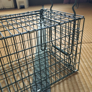 害獣駆除の画像