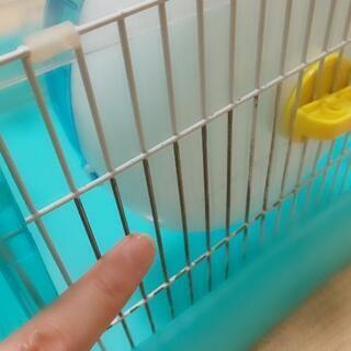 ハムスターゲージ / 給水器の画像