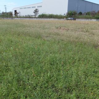 売地 比企郡川島町 12号区域 工場最適 2,152㎡ - 土地販売/土地売買