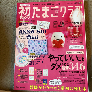 妊婦、育児本セットの画像