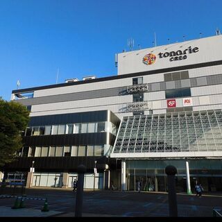 10月16日（土）猫の譲渡会を開催します（初回！） - つくば市