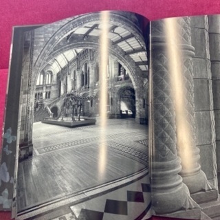 大英自然史博物館展図録（2017）の画像