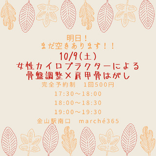 【明日‼️】【金山】お値段以上⁉️ワンコイン整体体験🦴