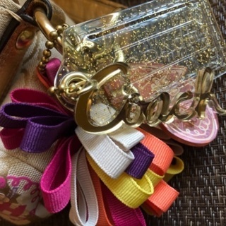 美品👍　コーチ　Poppy 2way ショルダーバッグ　斜め掛け　の画像