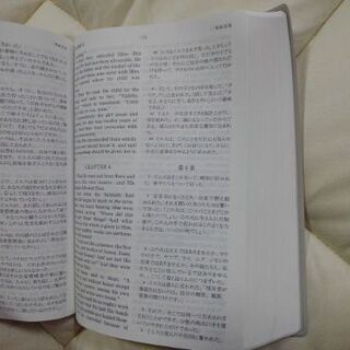 怪しい新訳聖書の画像
