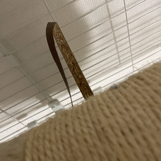キャットタワー　ケージ　今週までの画像