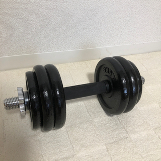 ダンベル（BIZ BODY製）の画像