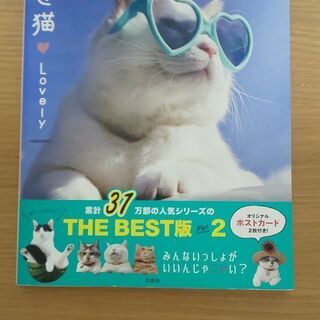 のせ猫♡LOVELY(2冊あります)