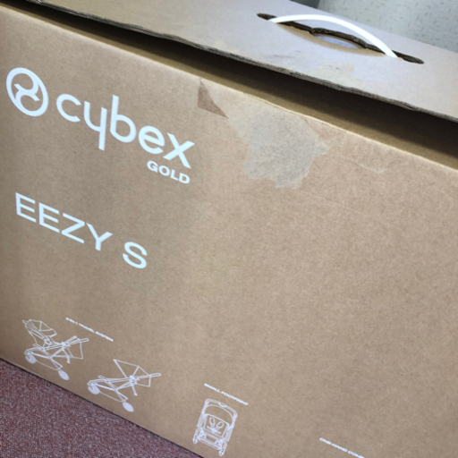 サイベックス　イージーS