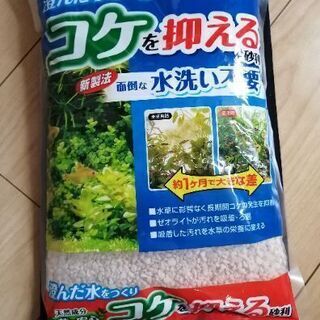 苔を抑える砂利