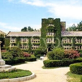 韓国留学、今がチャンスです！の画像