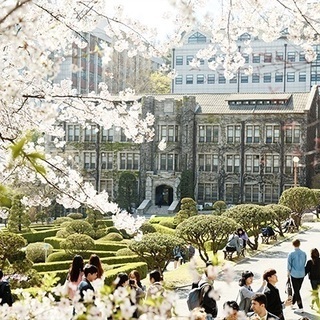 韓国留学、今がチャンスです！の画像