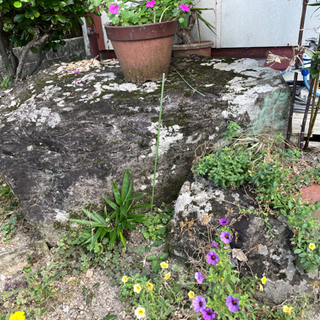 庭石　購入金額　数十万円　ただで差し上げますの画像