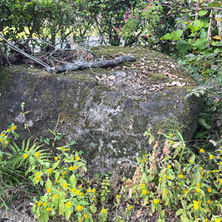 庭石　購入金額　数十万円　ただで差し上げますの画像