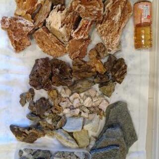 熱帯魚水槽用石の画像