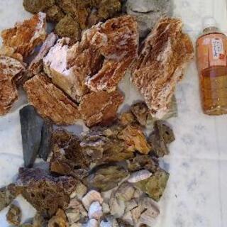 熱帯魚水槽用石