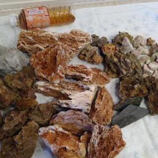 熱帯魚水槽用石の画像