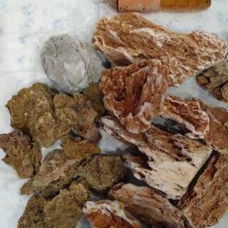 熱帯魚水槽用石の画像