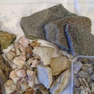 熱帯魚水槽用石の画像