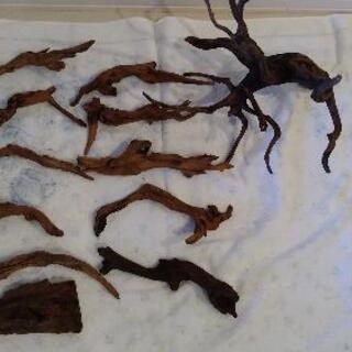 熱帯魚水槽用流木